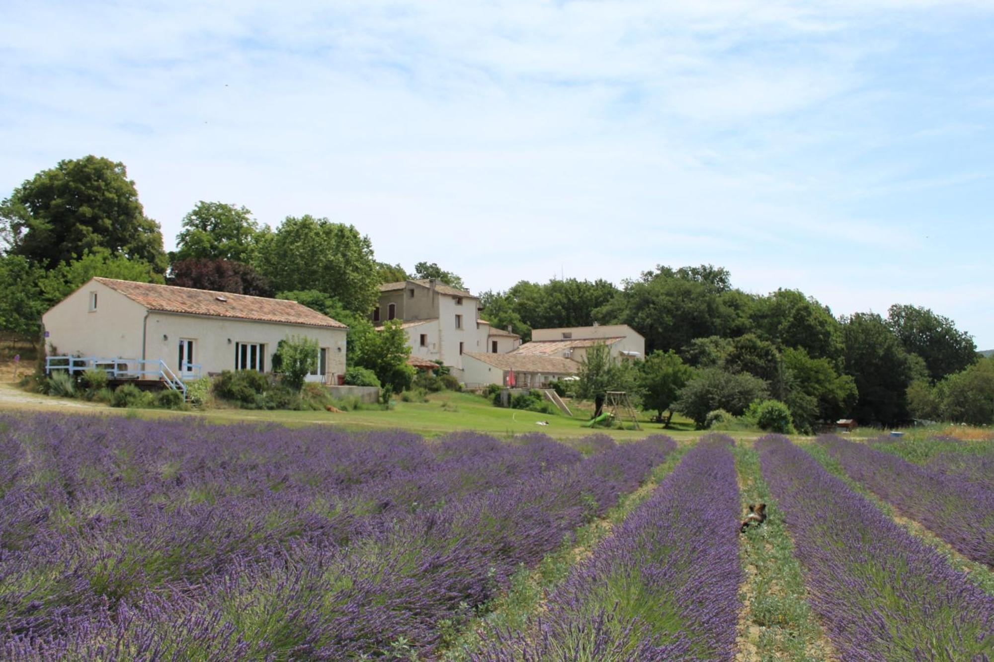 Les Anes De Forcalquier Hotel Екстериор снимка