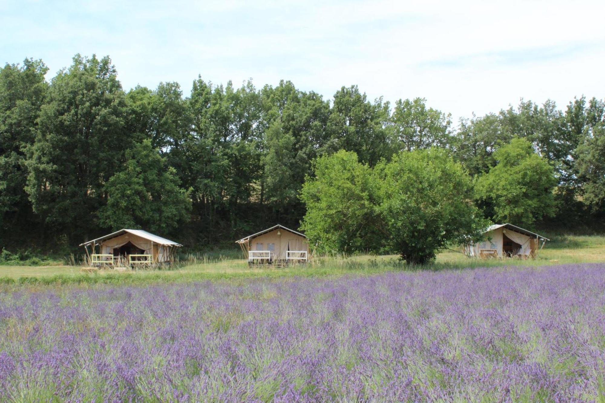 Les Anes De Forcalquier Hotel Екстериор снимка