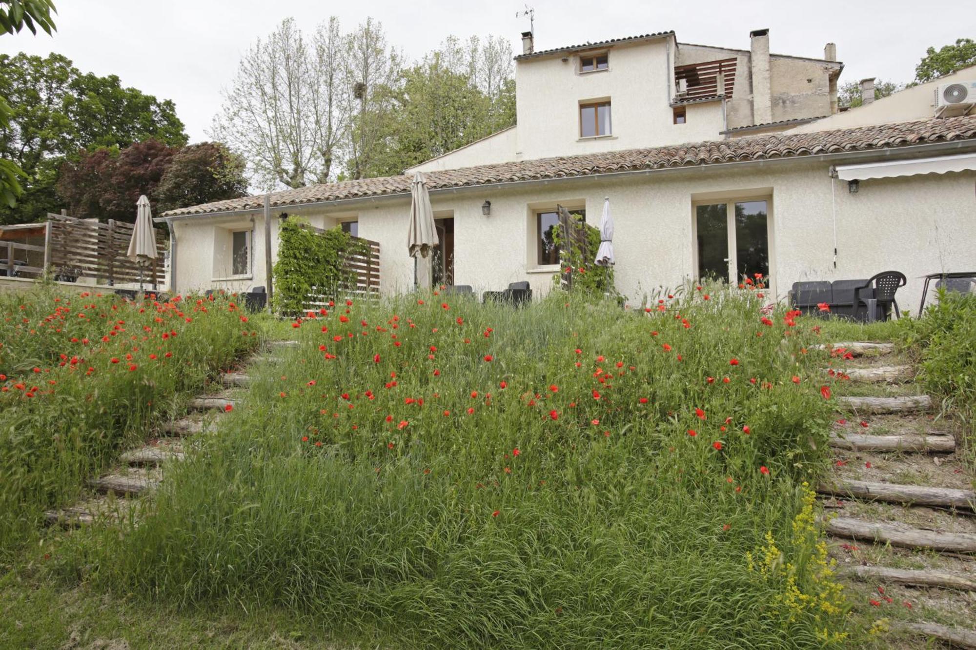 Les Anes De Forcalquier Hotel Стая снимка