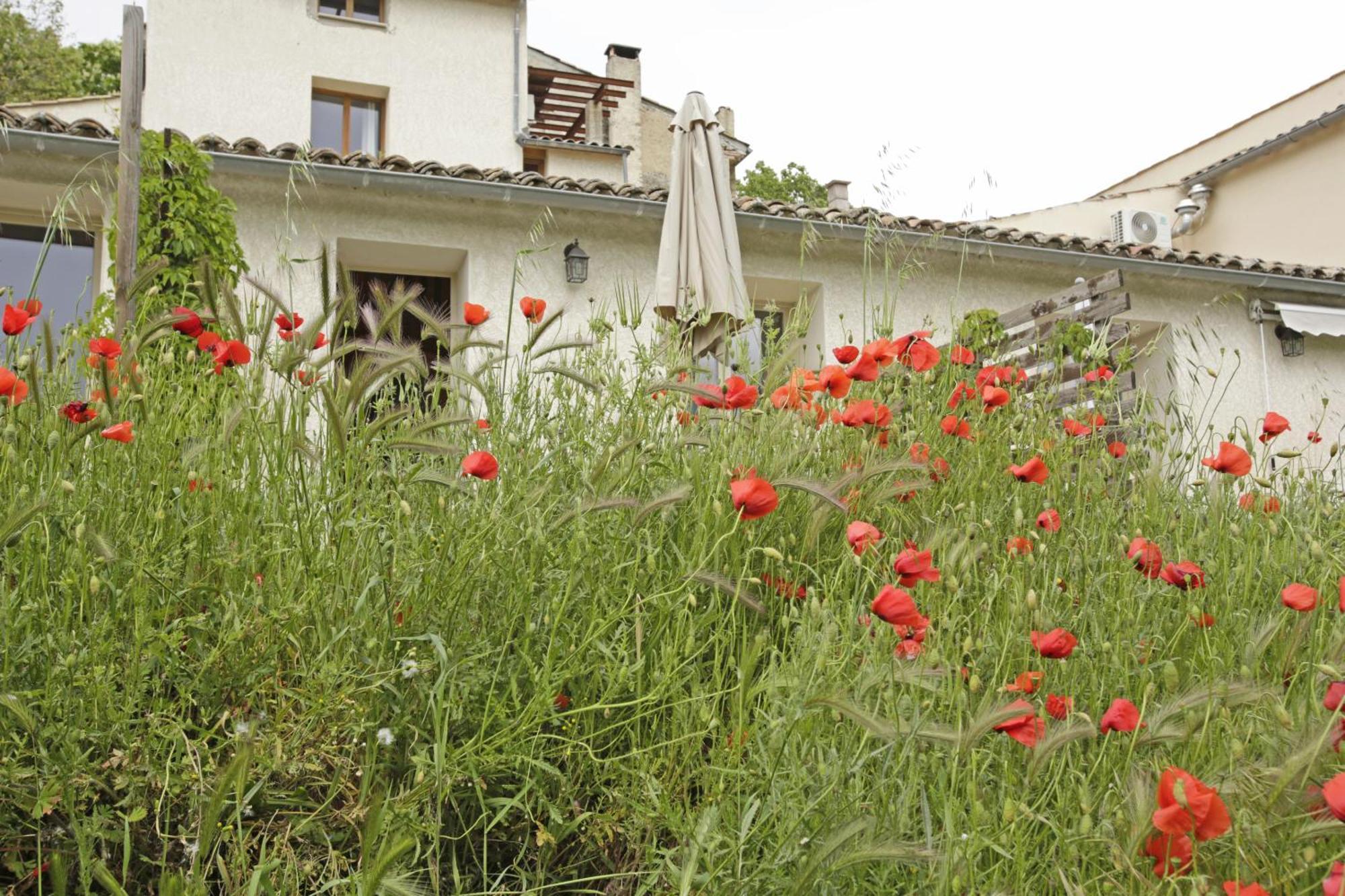 Les Anes De Forcalquier Hotel Стая снимка